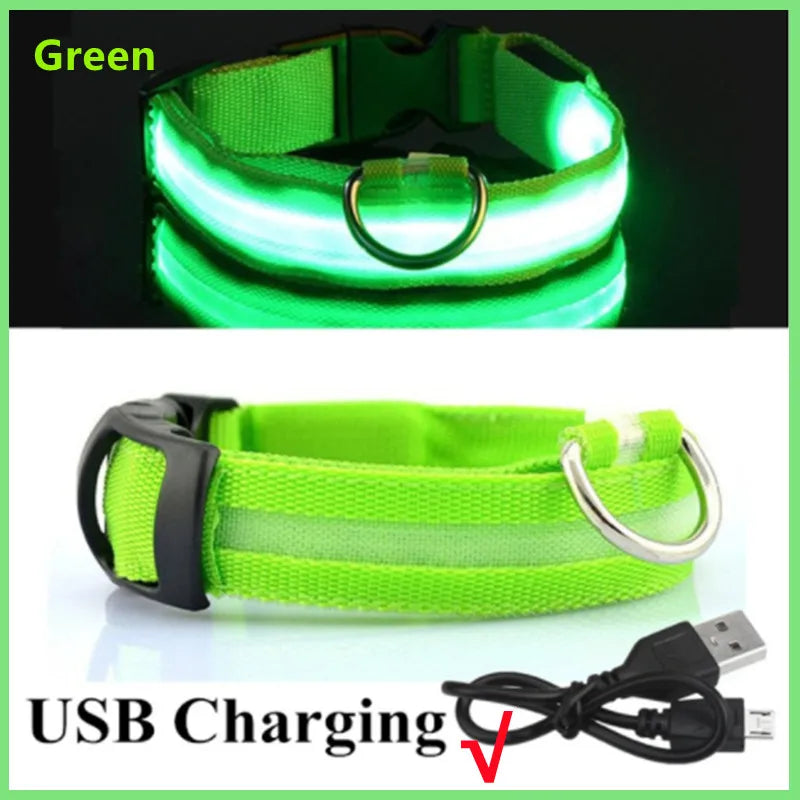 LED Glowing Dog Collar/Anti-Lost Dog Light