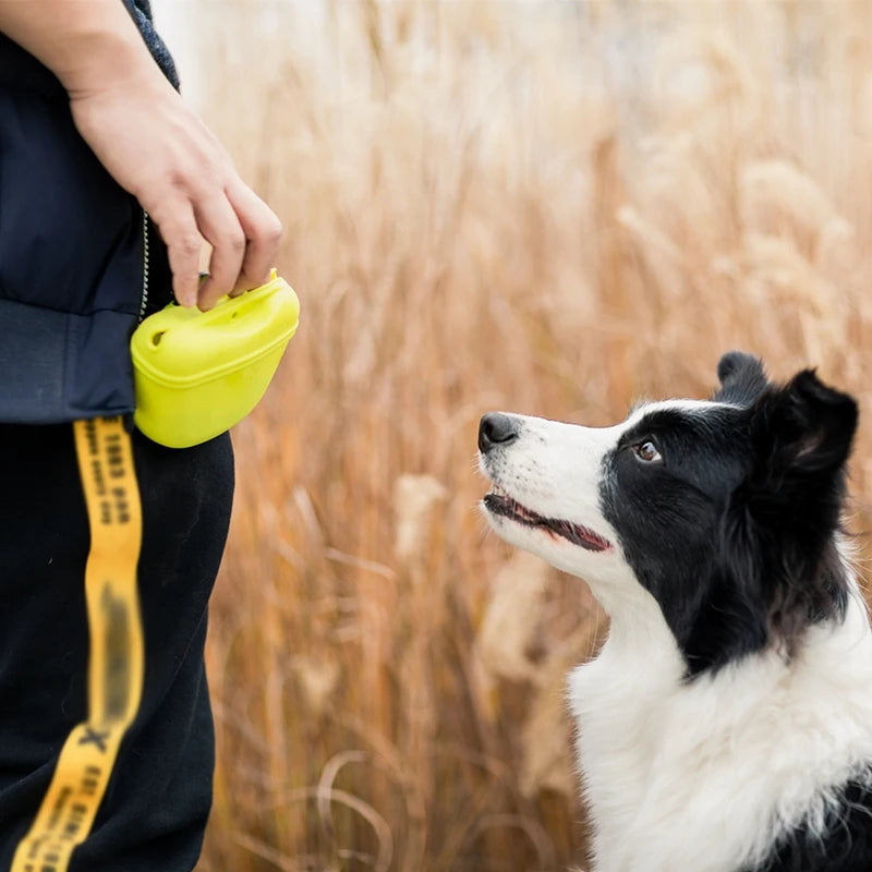 Portable Pet Training Waist Bag Treat/Snack Pouch