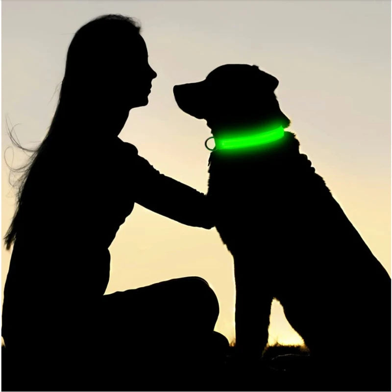 LED Glowing Dog Collar/Anti-Lost Dog Light