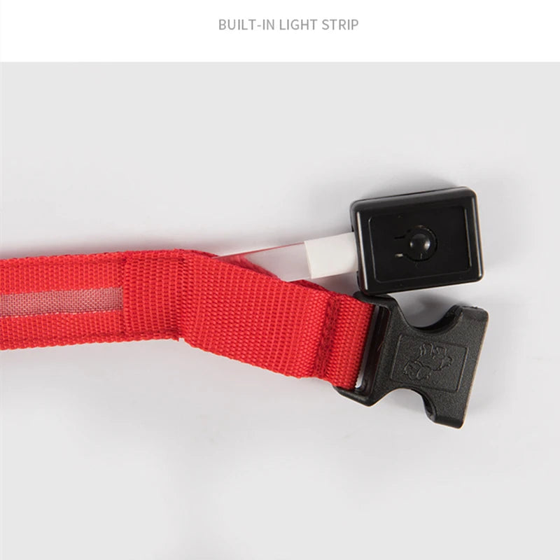 LED Glowing Dog Collar/Anti-Lost Dog Light