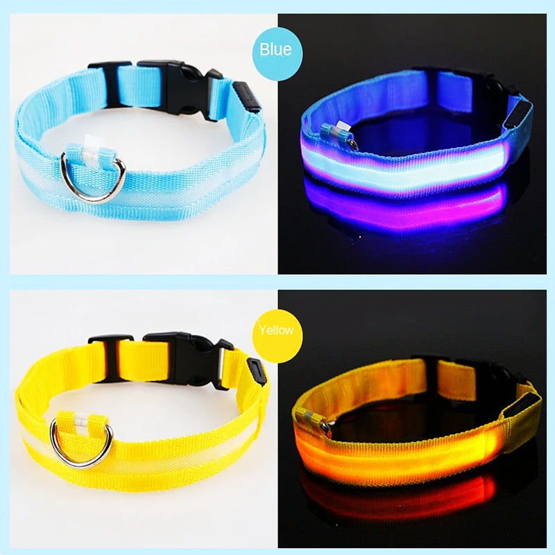 LED Glowing Dog Collar/Anti-Lost Dog Light