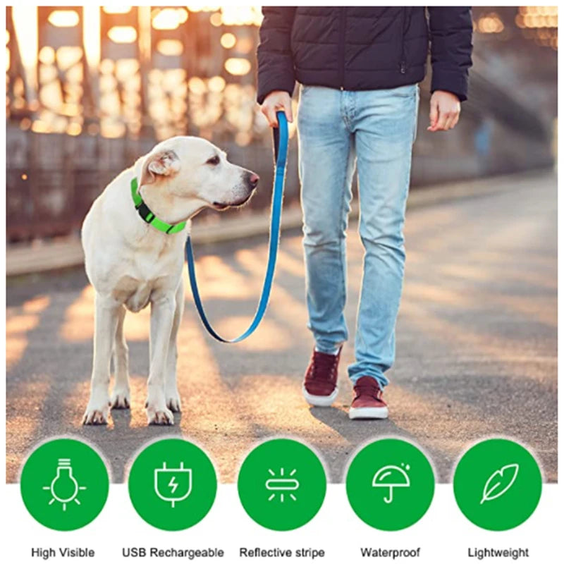 LED Glowing Dog Collar/Anti-Lost Dog Light