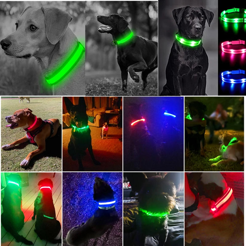 LED Glowing Dog Collar/Anti-Lost Dog Light
