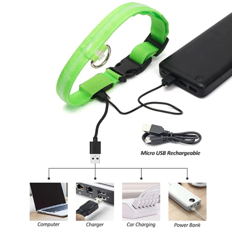 LED Glowing Dog Collar/Anti-Lost Dog Light