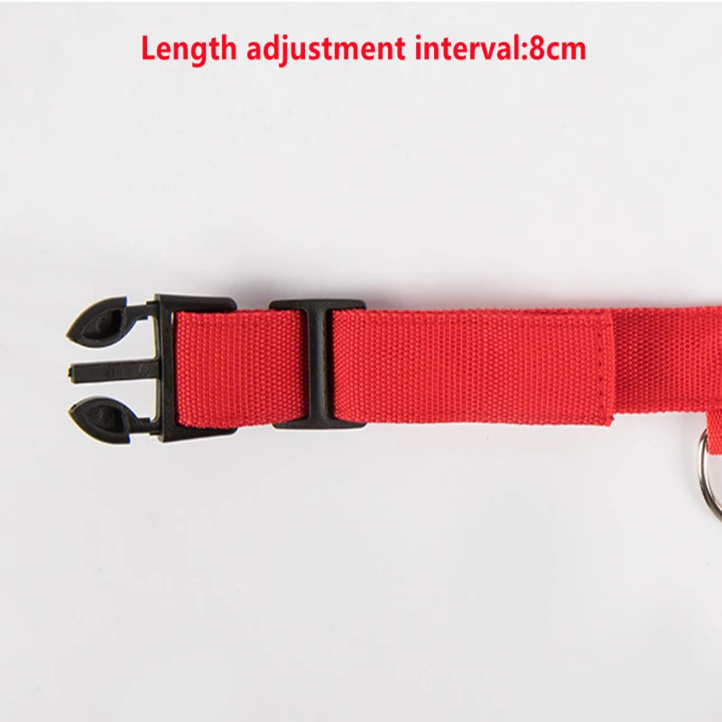 LED Glowing Dog Collar/Anti-Lost Dog Light