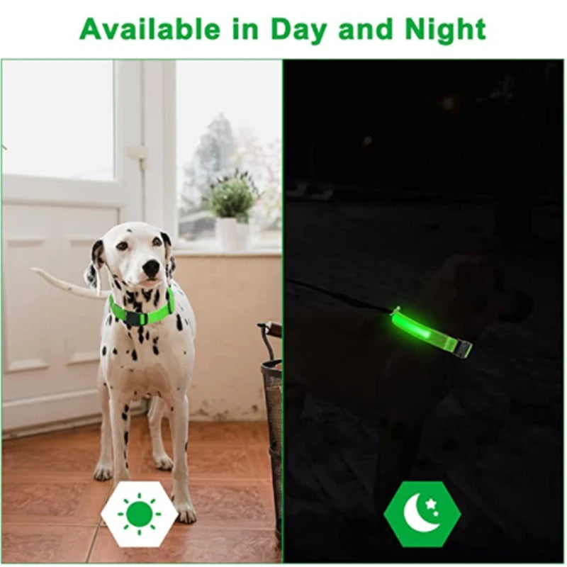 LED Glowing Dog Collar/Anti-Lost Dog Light