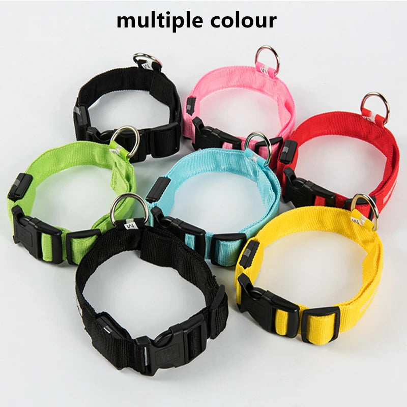 LED Glowing Dog Collar/Anti-Lost Dog Light