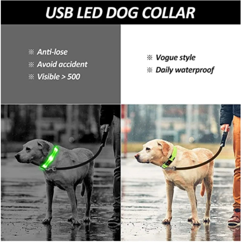 LED Glowing Dog Collar/Anti-Lost Dog Light