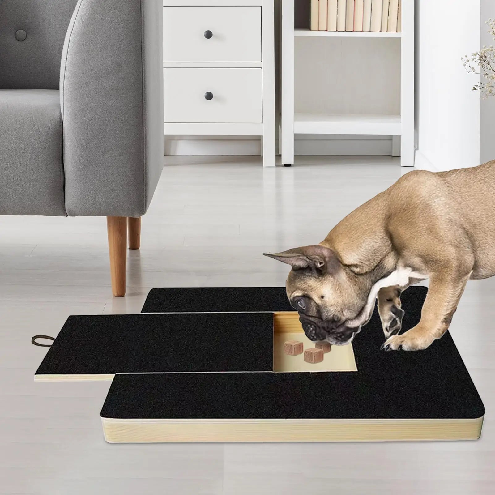 Dog Nail Scratch Board with Built-in Treat Box