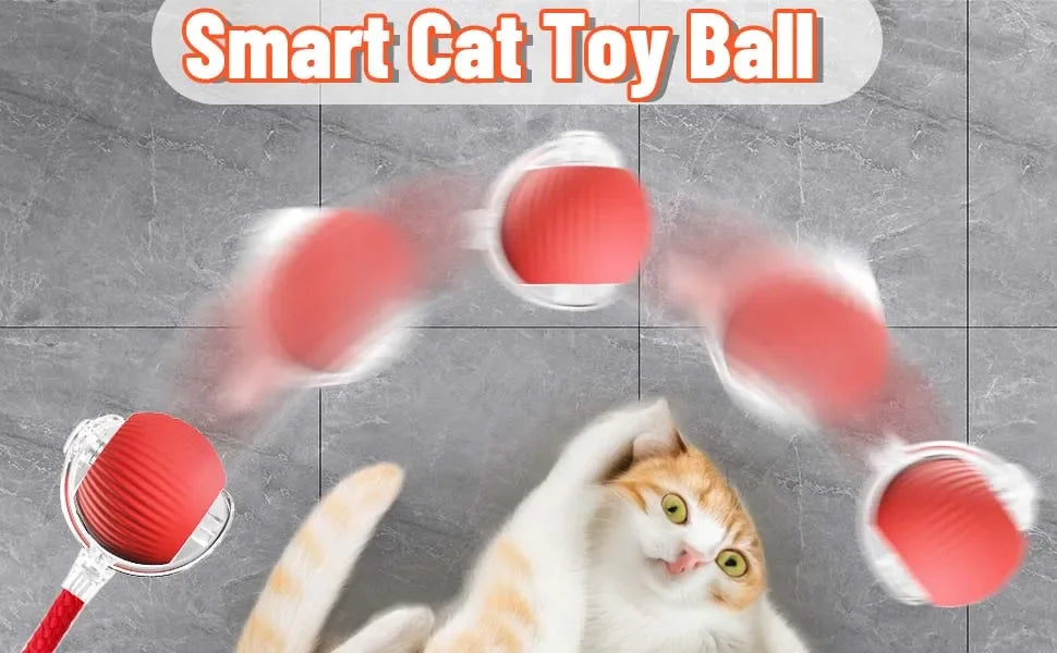 Cat Interactive Ball Toy Automatic Rolling Tail Ball AND MORE!