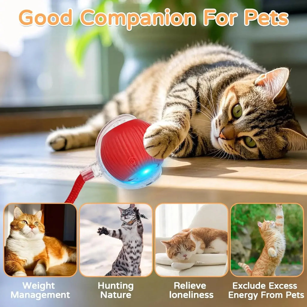 Cat Interactive Ball Toy Automatic Rolling Tail Ball AND MORE!