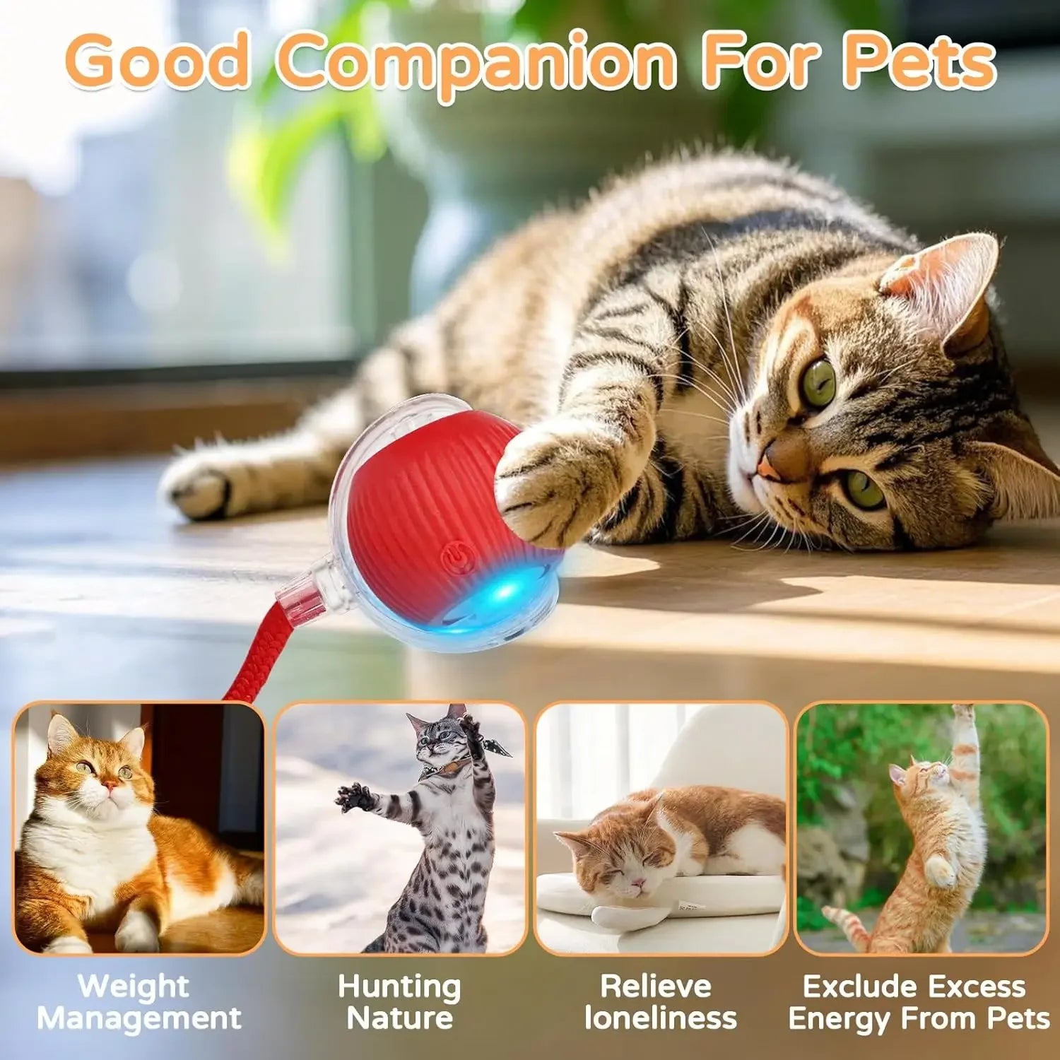 Cat Interactive Ball Toy Automatic Rolling Tail Ball AND MORE!