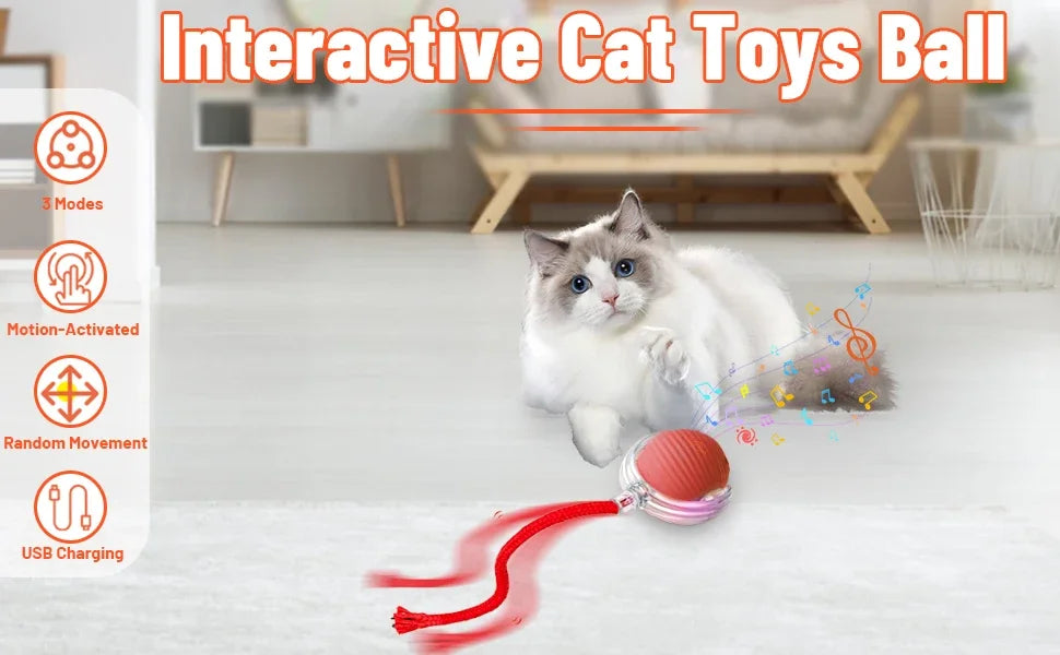 Cat Interactive Ball Toy Automatic Rolling Tail Ball AND MORE!
