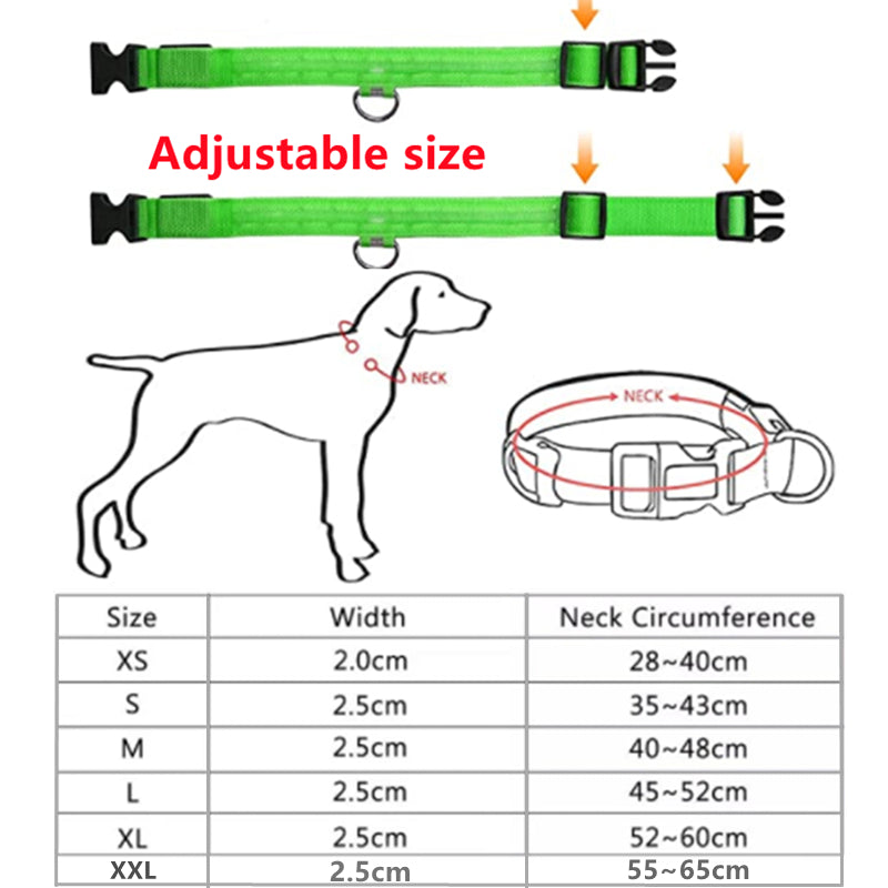 LED Glowing Dog Collar/Anti-Lost Dog Light