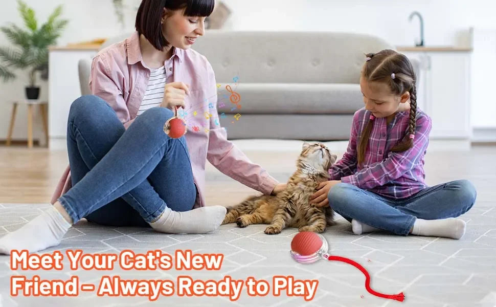 Cat Interactive Ball Toy Automatic Rolling Tail Ball AND MORE!