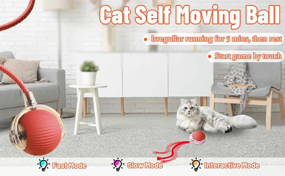 Cat Interactive Ball Toy Automatic Rolling Tail Ball AND MORE!