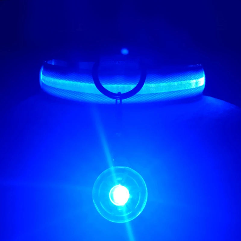 LED Glowing Dog Collar/Anti-Lost Dog Light