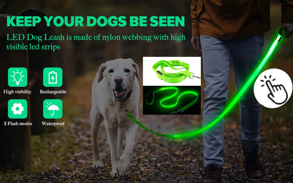 LED Glowing Dog Collar/Anti-Lost Dog Light