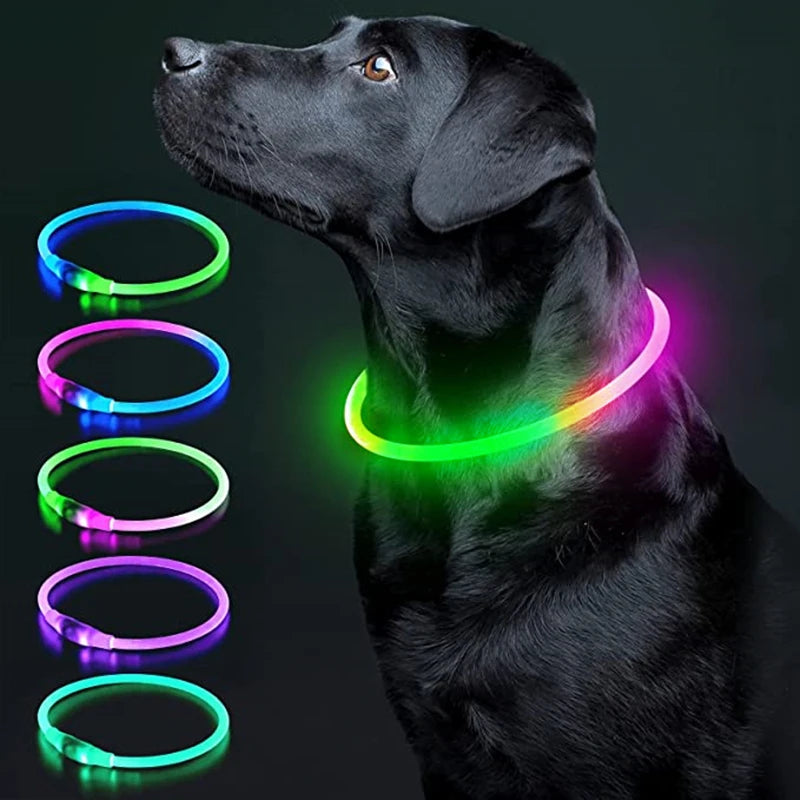 LED Glowing Dog Collar/Anti-Lost Dog Light