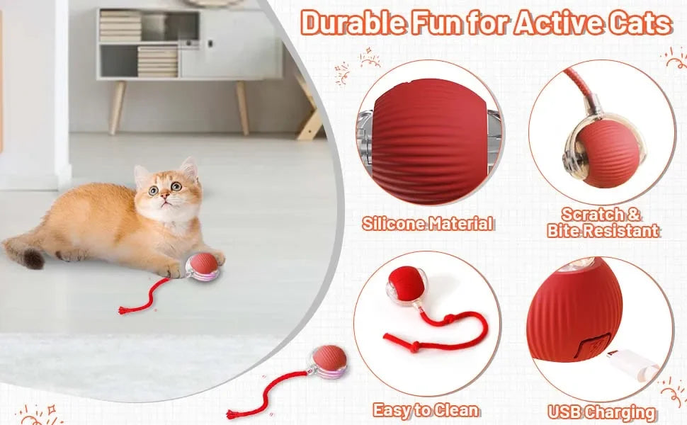 Cat Interactive Ball Toy Automatic Rolling Tail Ball AND MORE!