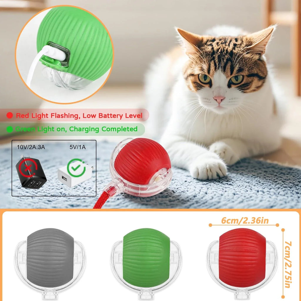 Cat Interactive Ball Toy Automatic Rolling Tail Ball AND MORE!