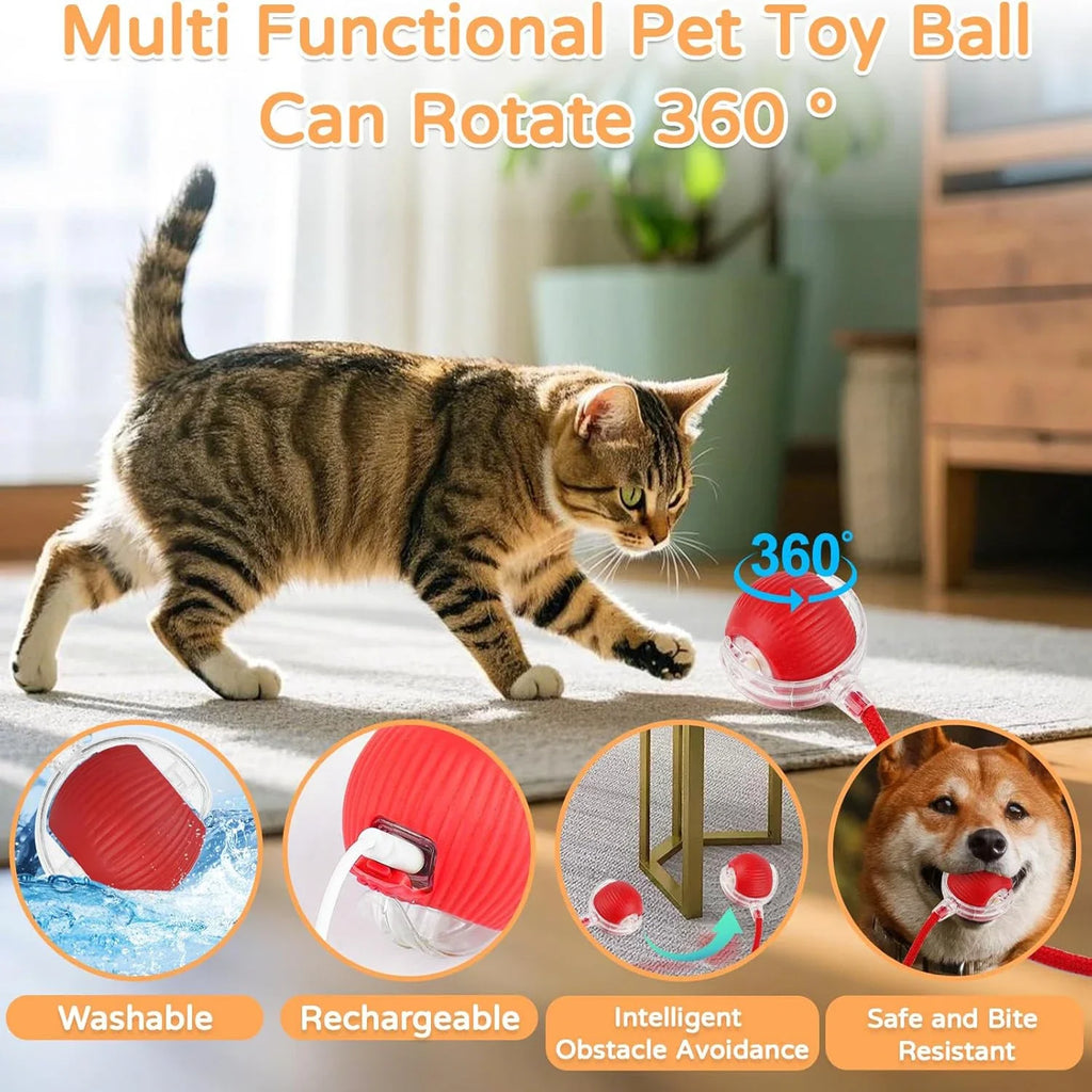 Cat Interactive Ball Toy Automatic Rolling Tail Ball AND MORE!