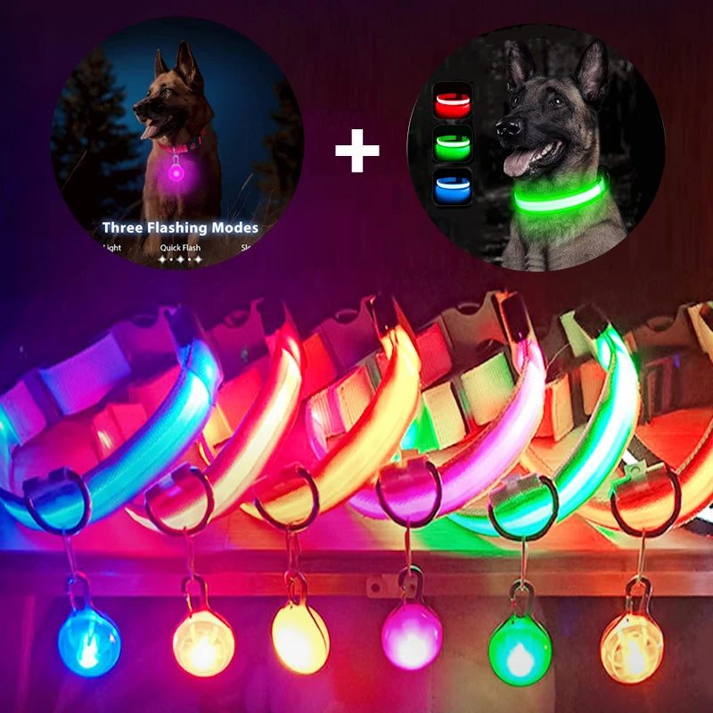 LED Glowing Dog Collar/Anti-Lost Dog Light